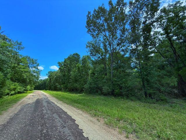 TBD Cr 295, Oakwood, TX 75855
