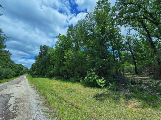 TBD Cr 295, Oakwood, TX 75855