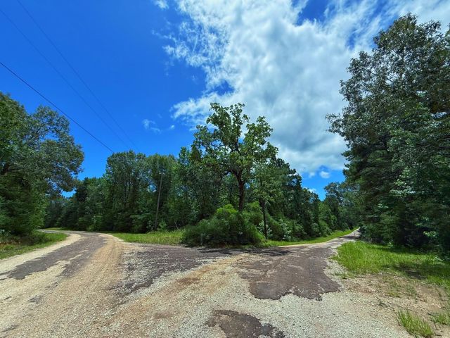 TBD Cr 295, Oakwood, TX 75855