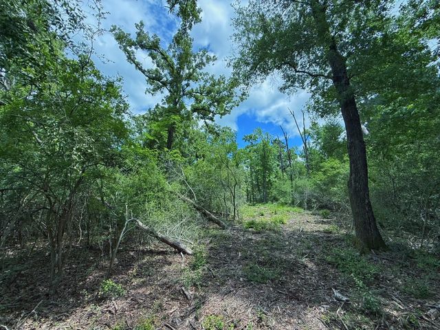 TBD Cr 295, Oakwood, TX 75855