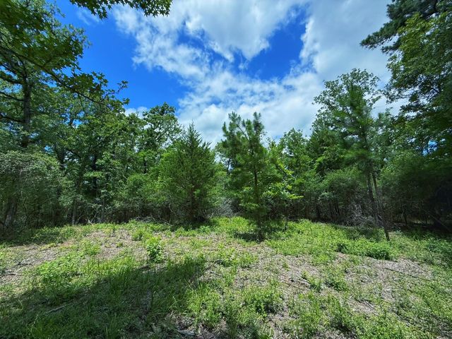 TBD Cr 295, Oakwood, TX 75855