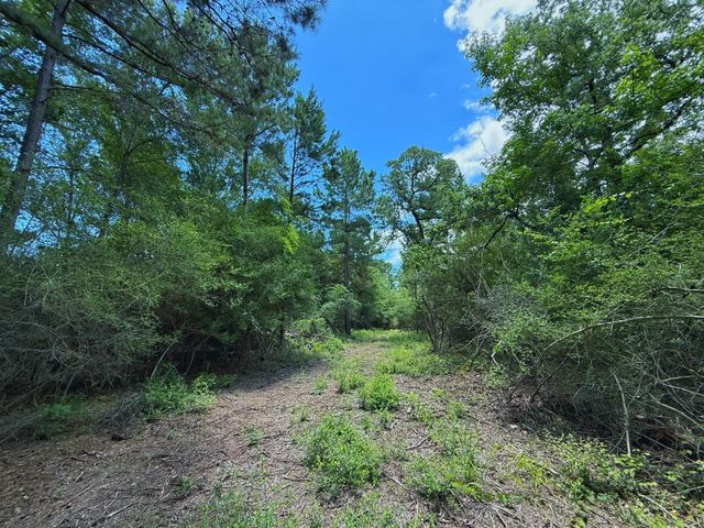 TBD Cr 295, Oakwood, TX 75855