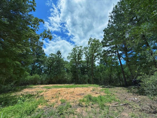 TBD Cr 295, Oakwood, TX 75855