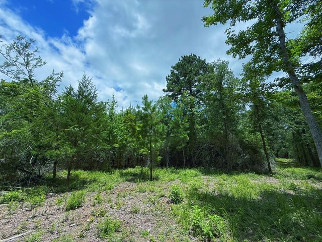 TBD Cr 295, Oakwood, TX 75855