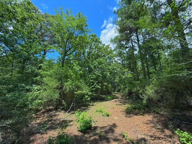 TBD Cr 295, Oakwood, TX 75855