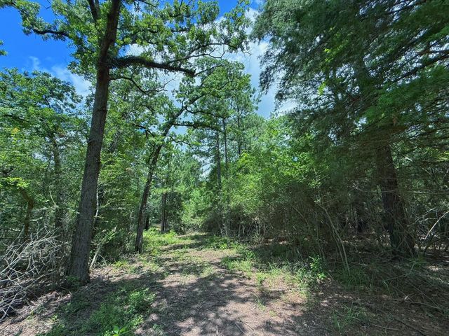 TBD Cr 295, Oakwood, TX 75855