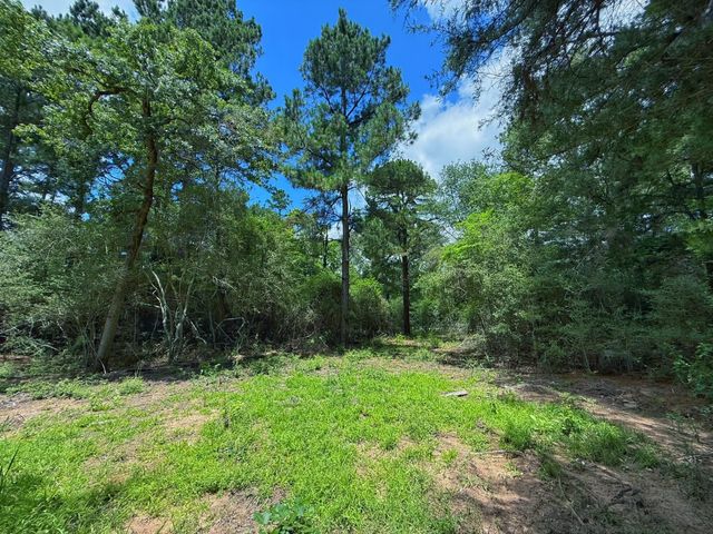 TBD Cr 295, Oakwood, TX 75855