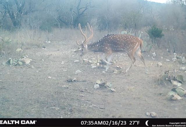 2733 Private Road 4560, Rocksprings, TX 78880