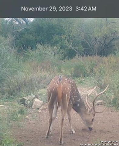 2733 Private Road 4560, Rocksprings, TX 78880