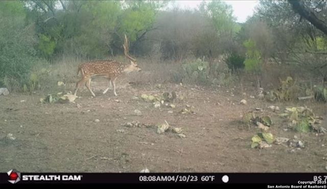 2733 Private Road 4560, Rocksprings, TX 78880