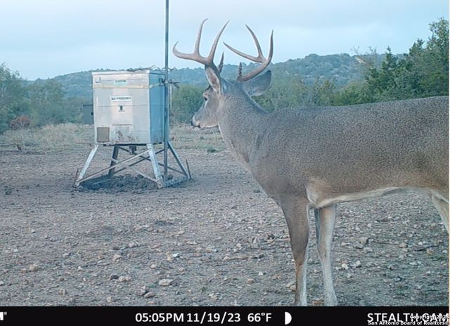 2733 Private Road 4560, Rocksprings, TX 78880