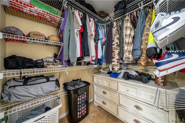 13552 Trailing Vine, Northport, AL 35475