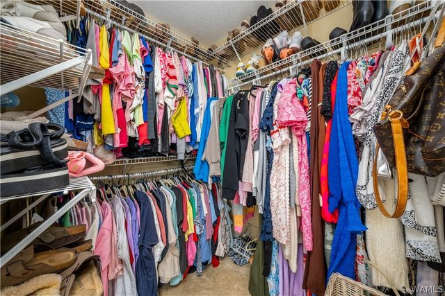 13552 Trailing Vine, Northport, AL 35475