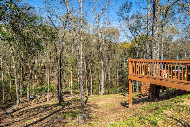 13552 Trailing Vine, Northport, AL 35475