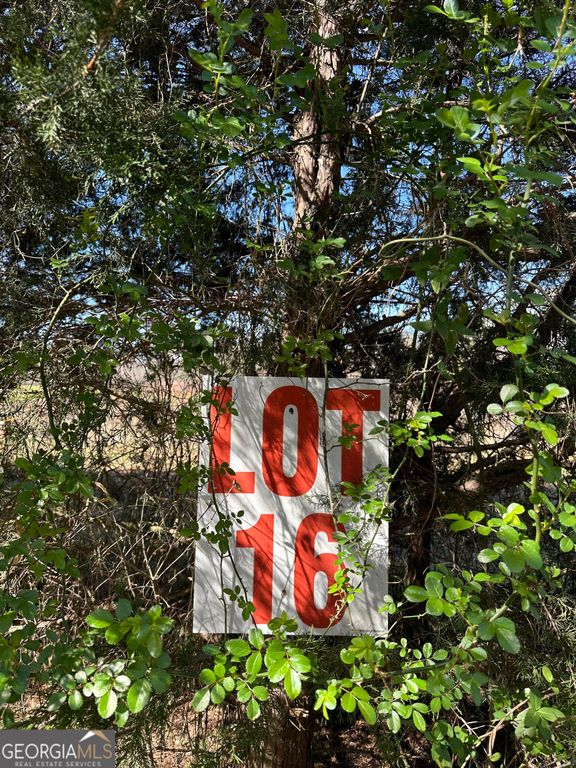 139 Oak Road LOT 16, Locust Grove, GA 30248