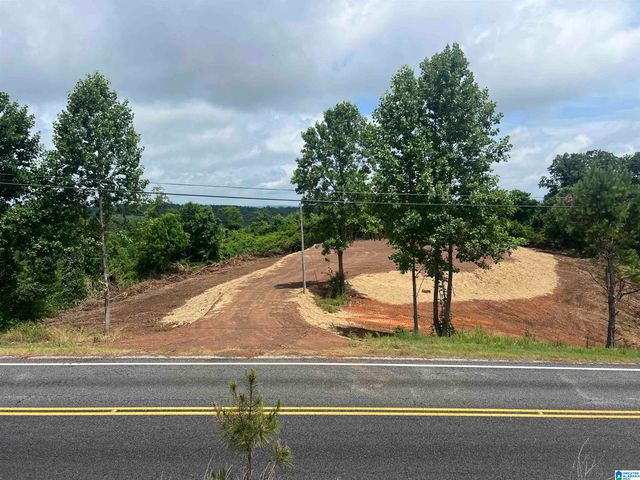 0 HIGHWAY 48, Wedowee, AL 36278