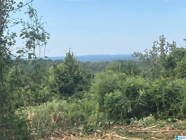 0 HIGHWAY 48, Wedowee, AL 36278