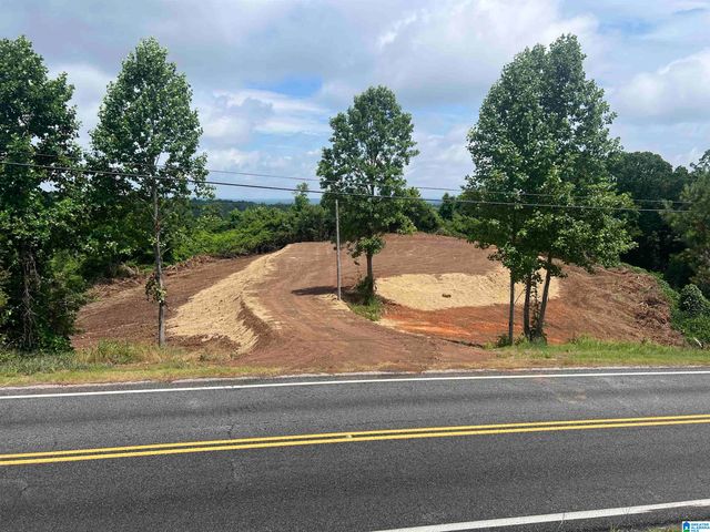 0 HIGHWAY 48, Wedowee, AL 36278