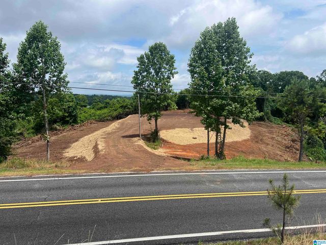 0 HIGHWAY 48, Wedowee, AL 36278