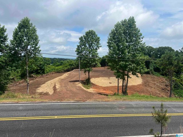 0 HIGHWAY 48, Wedowee, AL 36278