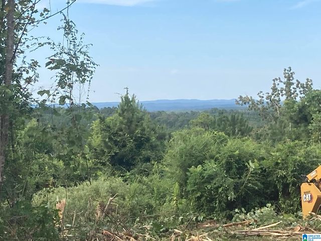 0 HIGHWAY 48, Wedowee, AL 36278