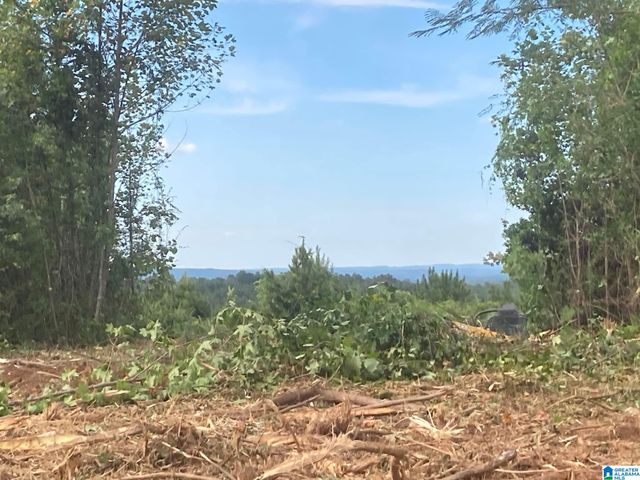 0 HIGHWAY 48, Wedowee, AL 36278