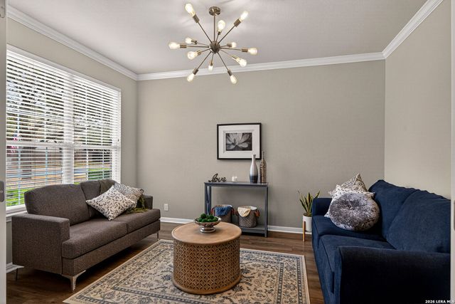 23015 Tornillo Drive, San Antonio, TX 78258