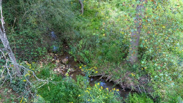 1240 Clearwater DR, Boones Mill, VA 24065