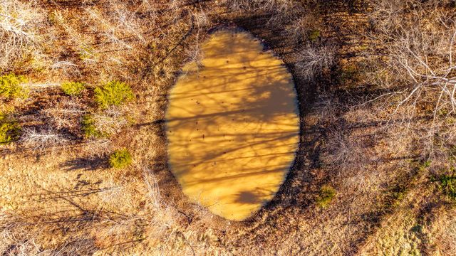 404 County Road 309, Alton, MO 65606