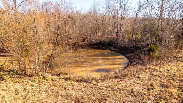 404 County Road 309, Alton, MO 65606