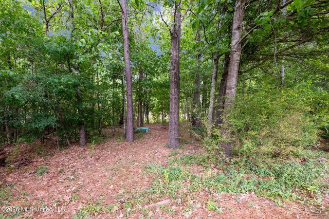 14685 Saint Charles Drive, Olive Branch, MS 38654