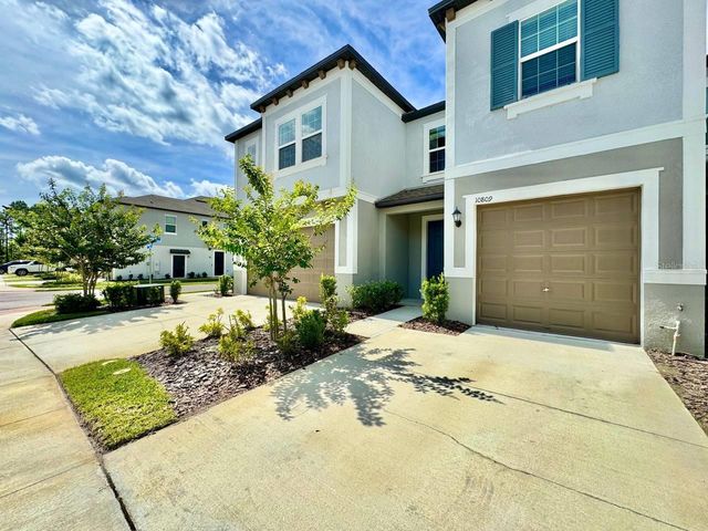 10809 FOWLERS BLUFF COURT, Tampa, FL 33647