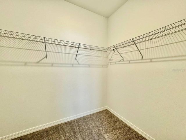 10809 FOWLERS BLUFF COURT, Tampa, FL 33647