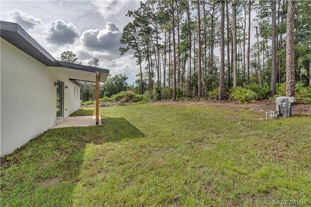 1115 W Cary Drive, Citrus Springs, FL 34434