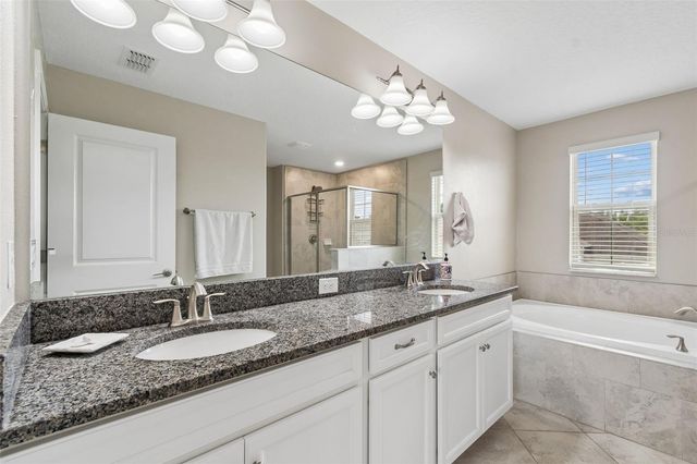 32237 WATOGA LOOP, Wesley Chapel, FL 33543