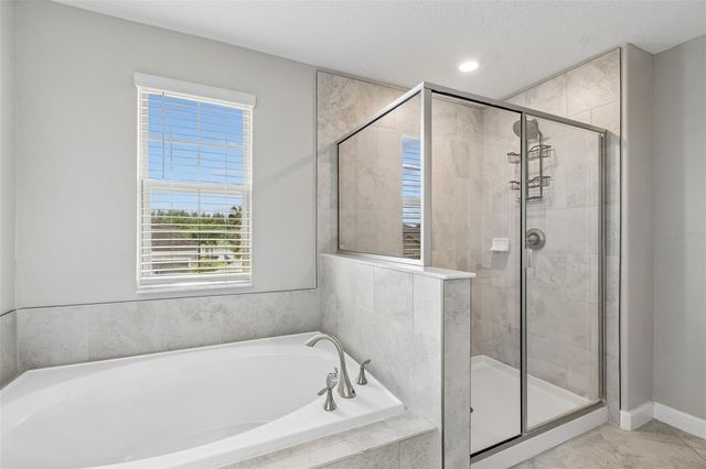 32237 WATOGA LOOP, Wesley Chapel, FL 33543