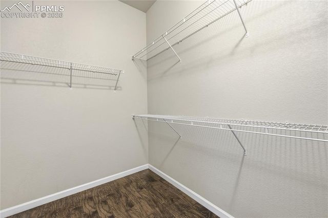 8473 Grand Peak Vista Point, Colorado Springs, CO 80920