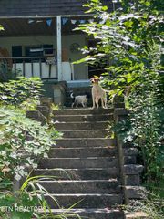 721 Cherry St, Lafollette, TN 37766