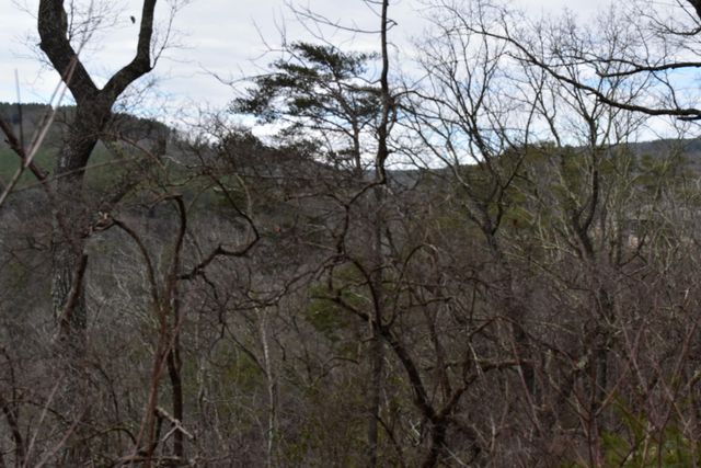 1075 Birds Eye Way Lot 1075, Guild, TN 37340