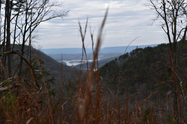 1075 Birds Eye Way Lot 1075, Guild, TN 37340