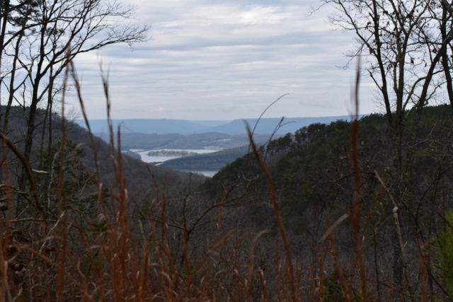1075 Birds Eye Way Lot 1075, Guild, TN 37340
