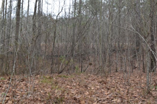 1075 Birds Eye Way Lot 1075, Guild, TN 37340