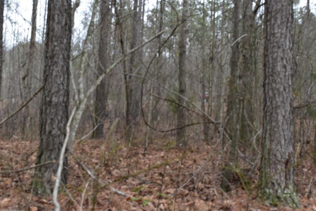 1075 Birds Eye Way Lot 1075, Guild, TN 37340