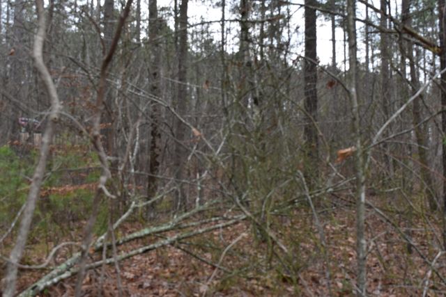 1075 Birds Eye Way Lot 1075, Guild, TN 37340
