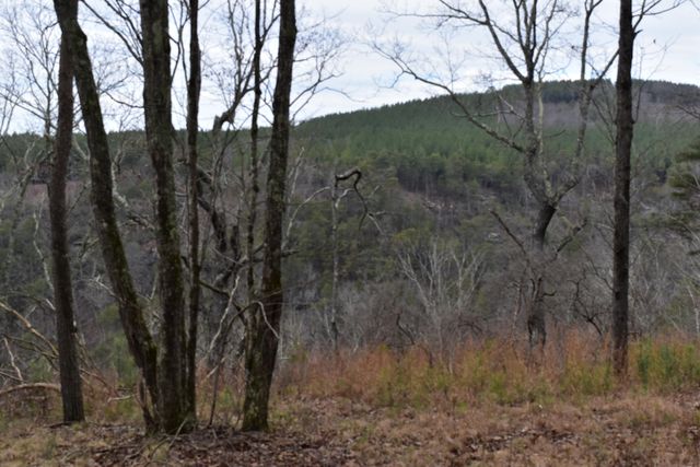 1075 Birds Eye Way Lot 1075, Guild, TN 37340