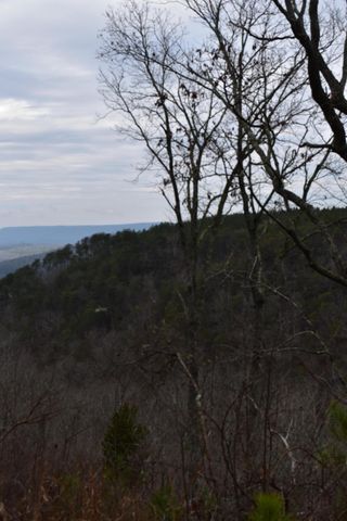 1075 Birds Eye Way Lot 1075, Guild, TN 37340