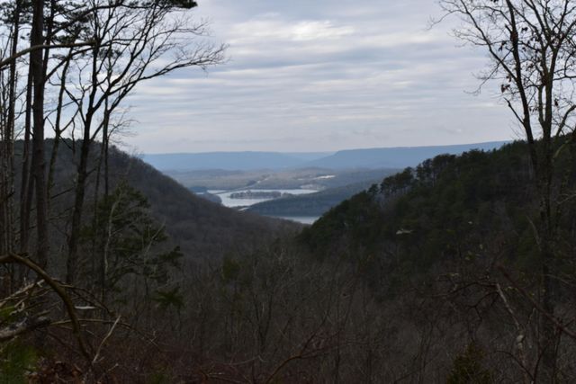1075 Birds Eye Way Lot 1075, Guild, TN 37340