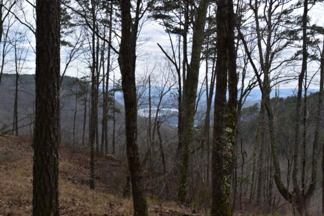 1075 Birds Eye Way Lot 1075, Guild, TN 37340