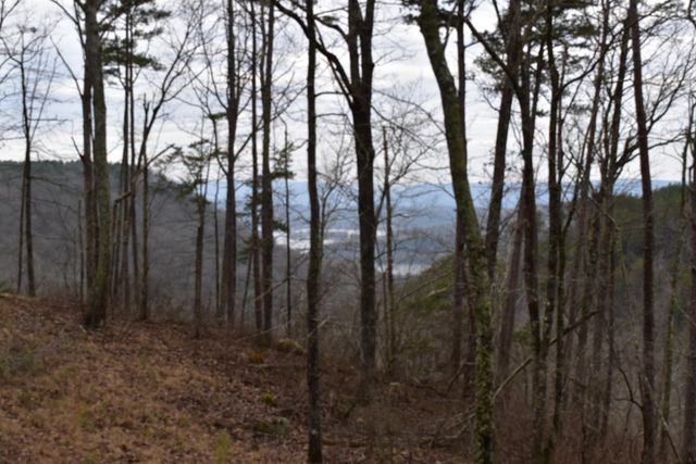 1075 Birds Eye Way Lot 1075, Guild, TN 37340