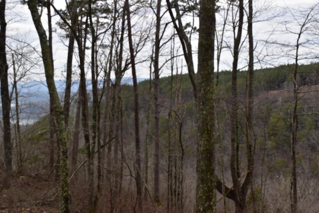 1075 Birds Eye Way Lot 1075, Guild, TN 37340